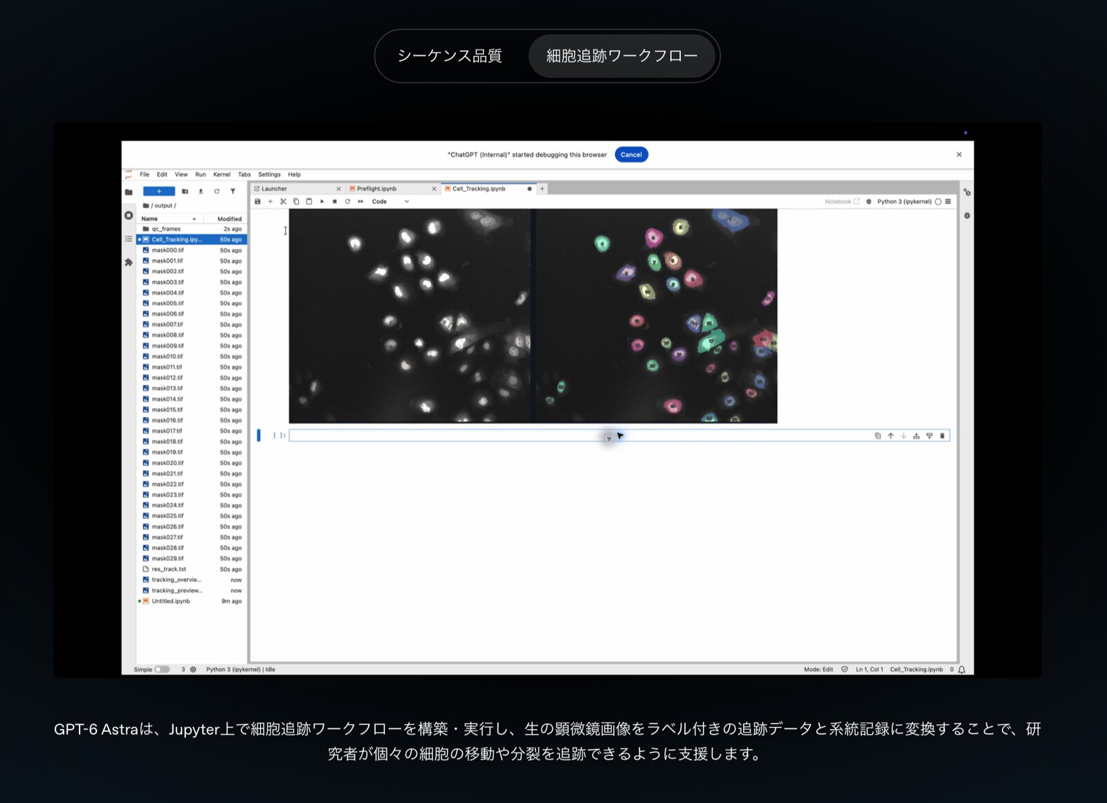 Jupyter上で細胞追跡ワークフローを組み、実行する例(出典: OpenAI発表ページ)